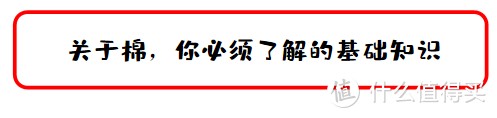 值无不言100期：爱自己爱睡你，纯棉四件套防坑选购攻略，100块的和1000块的差距在哪里？