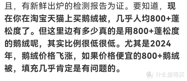2024年双十一羽绒被选购指南