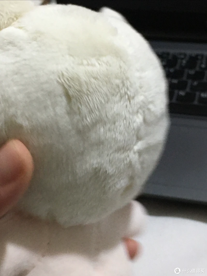 我最爱的棉花娃娃