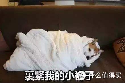 夏天，什么材质的被子盖着“最爽”，肉身实测3种材料，结果出人意料！