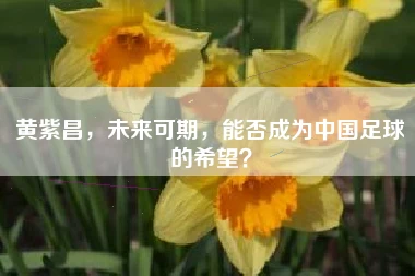黄紫昌，未来可期，能否成为中国足球的希望？