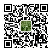 微信扫一扫