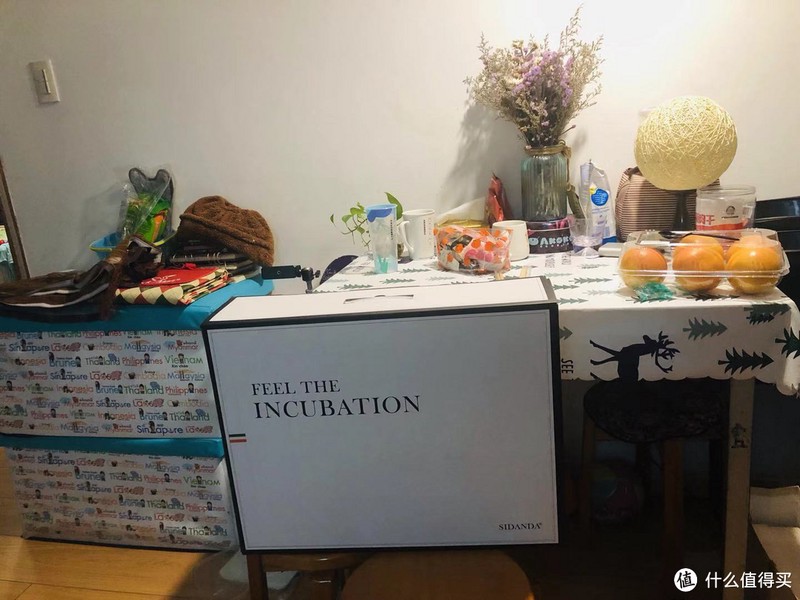 夏天，什么材质的被子盖着“最爽”，肉身实测3种材料，结果出人意料！