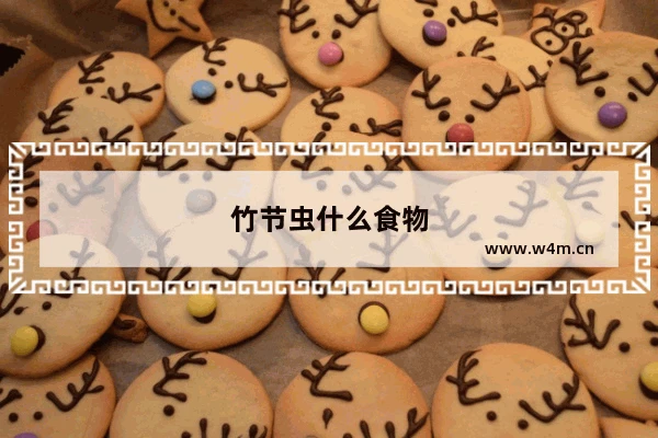 竹节虫什么食物