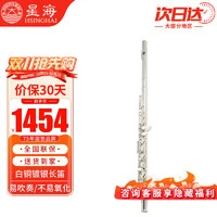 Xinghai 星海 长笛 初学者镀银长笛16孔C调带E键XF-100