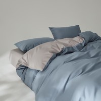 AIDLI 100支贡缎长绒棉四件套 200*230cm