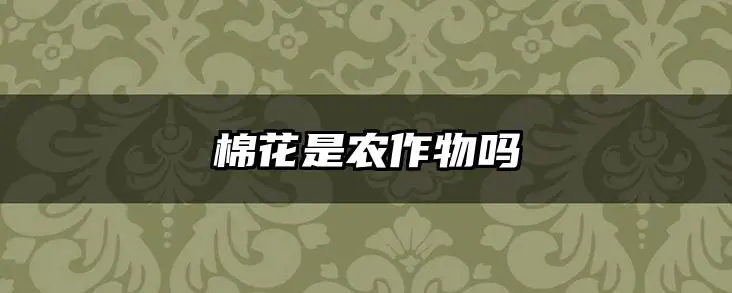 棉花是农作物吗