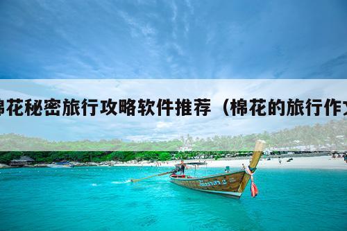 棉花秘密旅行攻略软件推荐（棉花的旅行作文）
