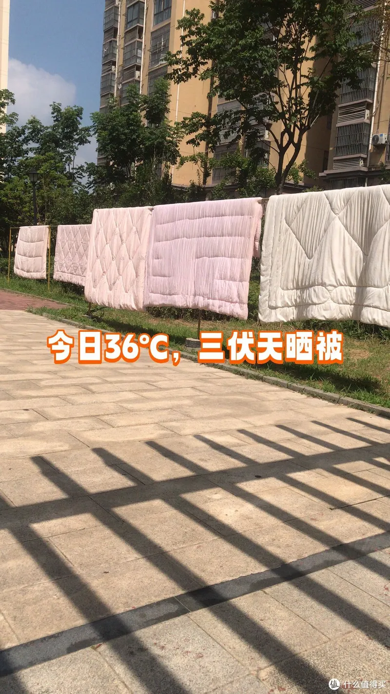 一个晒被子的绝佳方式,你绝对想不到!