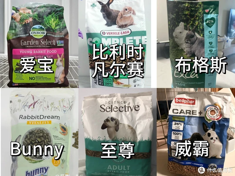 邪恶棉花糖鉴定合格!好吃好喝好用,值得反复回购的养兔好物清单抄作业啦!