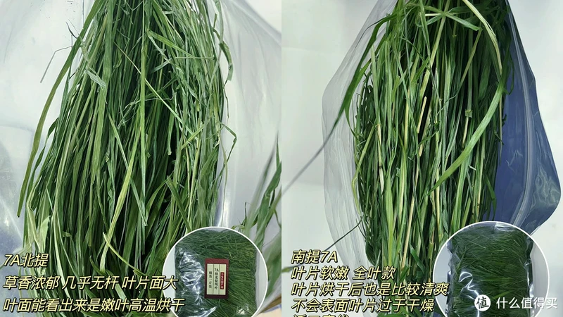 邪恶棉花糖鉴定合格!好吃好喝好用,值得反复回购的养兔好物清单抄作业啦!