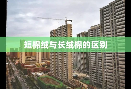 短棉绒与长绒棉的区别