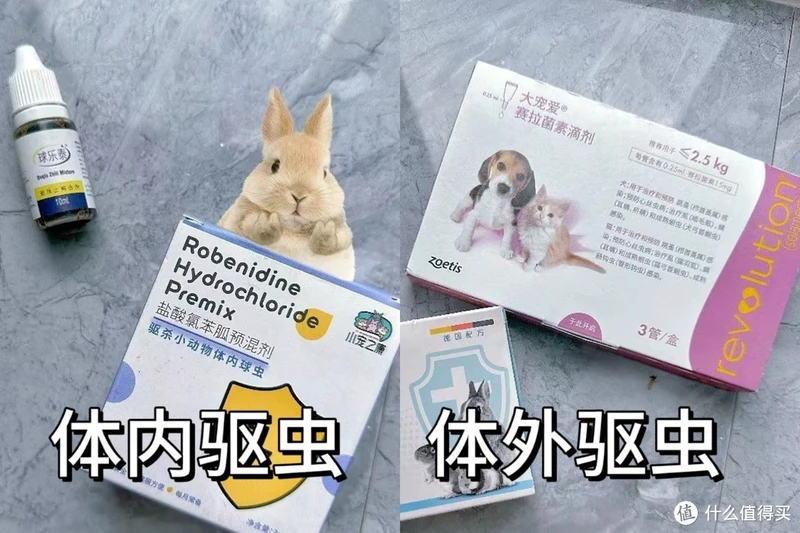 邪恶棉花糖鉴定合格!好吃好喝好用,值得反复回购的养兔好物清单抄作业啦!