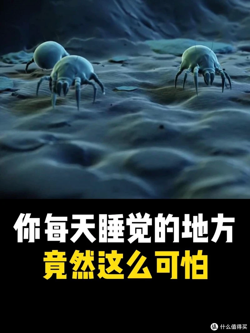 一个晒被子的绝佳方式,你绝对想不到!