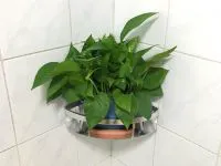青岛帆船之家迷你酒店 - 其他