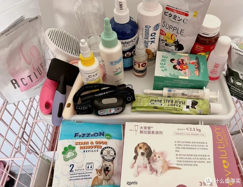邪恶棉花糖鉴定合格!好吃好喝好用,值得反复回购的养兔好物清单抄作业啦!