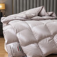 朴依家纺 羽绒被加厚冬被芯 200*230cm填充1500g