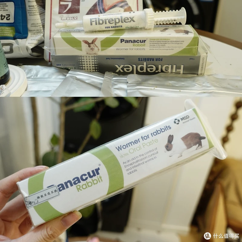 邪恶棉花糖鉴定合格!好吃好喝好用,值得反复回购的养兔好物清单抄作业啦!