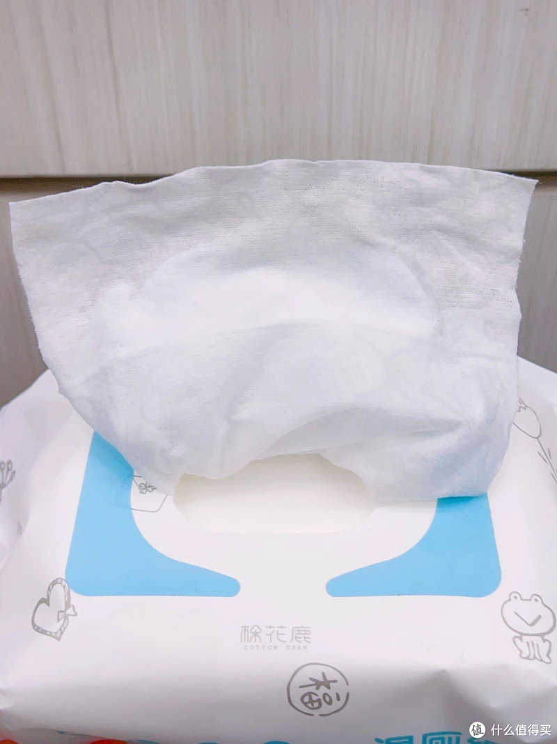 关于湿厕纸,你想知道的问题