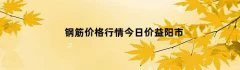钢筋价格行情今日价益阳市