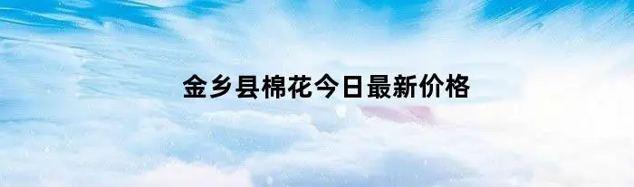 金乡县棉花今日最新价格