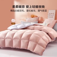 值选、今日必买：BLISS 百丽丝 水星家纺出品被子 7A抗菌鹅毛冬被 200cm×230cm