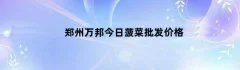 郑州万邦今日菠菜批发价格