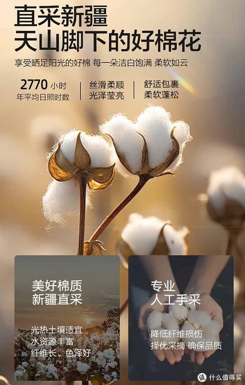 秋冬舒适暖被窝,水星家纺新疆棉被