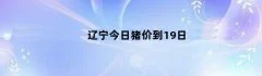辽宁今日猪价到19日
