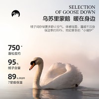 88VIP：MERCURY 水星家纺 羽绒被95白鹅绒被抗菌四季被子被芯家用床品秋冬白绒吹雪