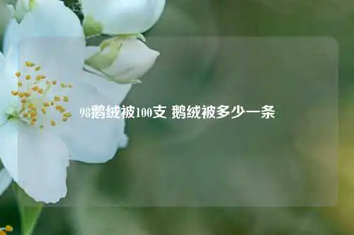 98鹅绒被100支 鹅绒被多少一条